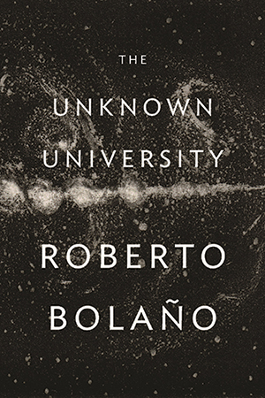 The Unknown Universe