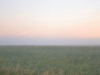 A verdant landscape stretches toward the horizon